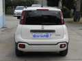 Fiat Panda Panda Cross 1.0 FireFly 9Perfet Sc44% Bianco - thumbnail 9
