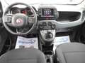 Fiat Panda Panda Cross 1.0 FireFly 9Perfet Sc44% Bianco - thumbnail 4