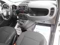 Fiat Panda Panda Cross 1.0 FireFly 9Perfet Sc44% Bianco - thumbnail 17