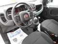 Fiat Panda Panda Cross 1.0 FireFly 9Perfet Sc44% Bianco - thumbnail 15