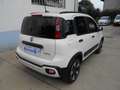 Fiat Panda Panda Cross 1.0 FireFly 9Perfet Sc44% Bianco - thumbnail 11