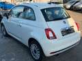 Fiat 500 Panorama Klima Parksensor Weiß - thumbnail 5