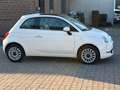 Fiat 500 Panorama Klima Parksensor Weiß - thumbnail 3