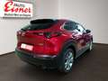 Mazda CX-30 G150 AT EXCLUSIVE L. Rouge - thumbnail 13