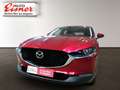 Mazda CX-30 G150 AT EXCLUSIVE L. Rouge - thumbnail 2