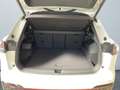 Volkswagen Tiguan R-Line 2.0 TDI 4Motion DSG HUD Massage 360 Weiß - thumbnail 14