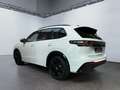Volkswagen Tiguan R-Line 2.0 TDI 4Motion DSG HUD Massage 360 Weiß - thumbnail 4