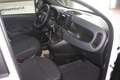 Fiat Panda 1000 HYBRID PANDA 70 CV 5 POSTI 400 Km Bianco - thumbnail 9