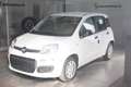 Fiat Panda 1000 HYBRID PANDA 70 CV 5 POSTI 400 Km Bianco - thumbnail 3