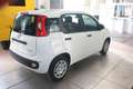 Fiat Panda 1000 HYBRID PANDA 70 CV 5 POSTI 400 Km Bianco - thumbnail 7