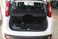 Fiat Panda 1000 HYBRID PANDA 70 CV 5 POSTI 400 Km Bianco - thumbnail 6