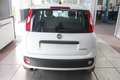 Fiat Panda 1000 HYBRID PANDA 70 CV 5 POSTI 400 Km Bianco - thumbnail 5