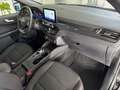 Ford Kuga 2.0 EcoBlue 120 CV aut. 2WD ST-Line - VARI COLOR Nero - thumbnail 11
