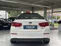 Kia Optima 1.7CRDi Spirit Navi Sitzh Pano Kamera GRA Alb - thumbnail 7