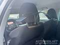 Skoda Octavia SCOUT 2,0 TDI 4x4 DSG | MATRIX LED | KAMERA Silber - thumbnail 19