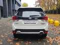 Subaru Forester Forester 2.0i e-boxer Style lineartronic Blanc - thumbnail 5