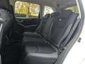 Subaru Forester Forester 2.0i e-boxer Style lineartronic Blanc - thumbnail 15
