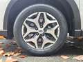 Subaru Forester Forester 2.0i e-boxer Style lineartronic Blanc - thumbnail 7