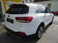 Kia Sorento 2,2 CRDi ISG AWD Gold Weiß - thumbnail 4