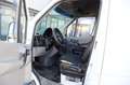 Mercedes-Benz Sprinter Sprinter 211 CDI HD 3,0t / 3.665 mm Black - thumbnail 19