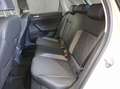 Volkswagen Polo Goal 1,0 l TSI OPF 85 kW (116 PS) 7 -Gang-D Grau - thumbnail 13