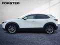 Mazda CX-30 /X180/AWD/GT+/S/T/P AHK Navi Distr HUD LED Blanco - thumbnail 2