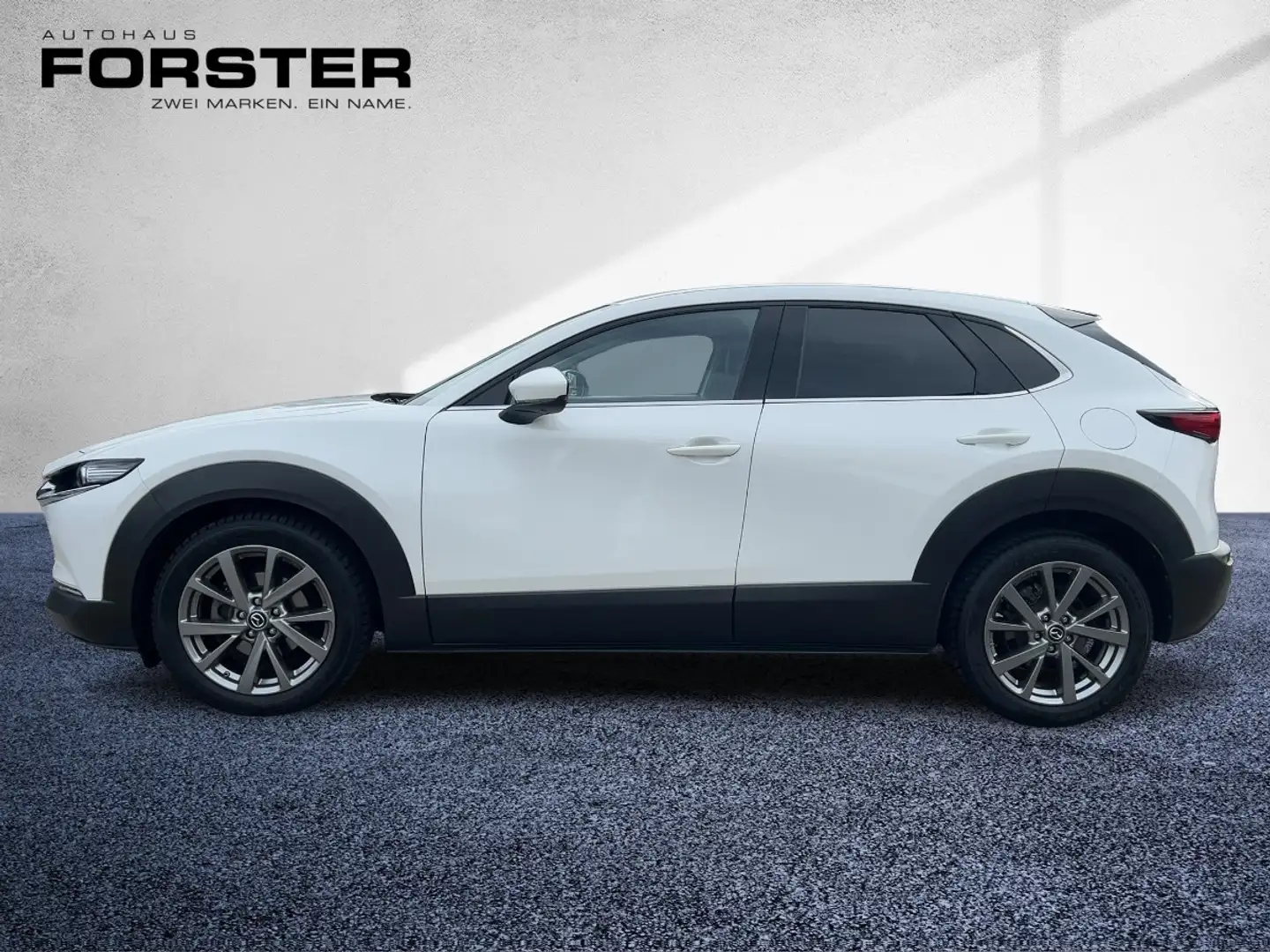 Mazda CX-30 /X180/AWD/GT+/S/T/P AHK Navi Distr HUD LED Blanco - 2