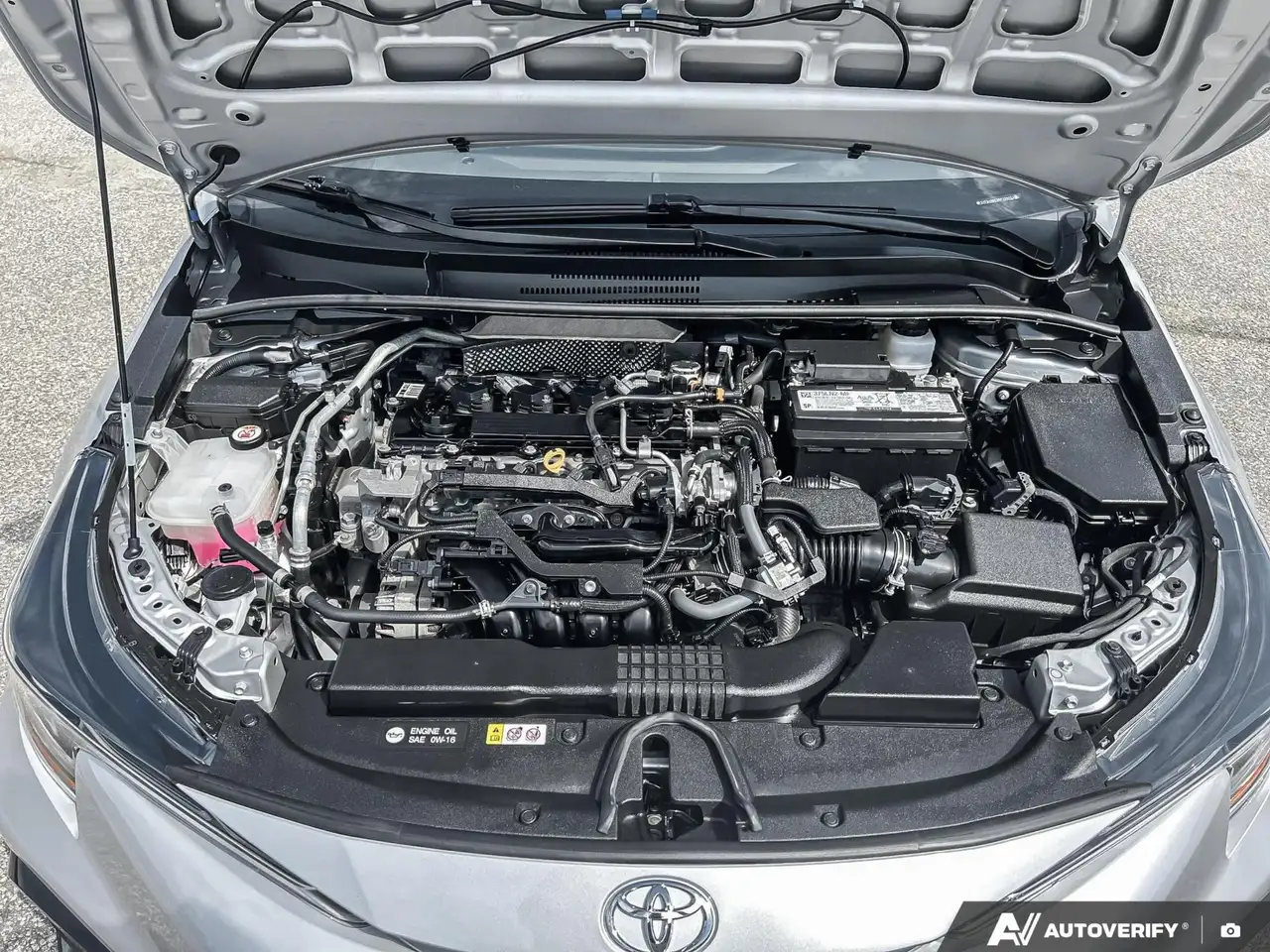 Toyota Corolla photo Toyota Corolla