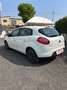 Fiat Bravo 1.6 MJT 120 CV DPF Street Bianco - thumbnail 4
