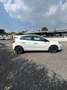 Fiat Bravo 1.6 MJT 120 CV DPF Street Bianco - thumbnail 8