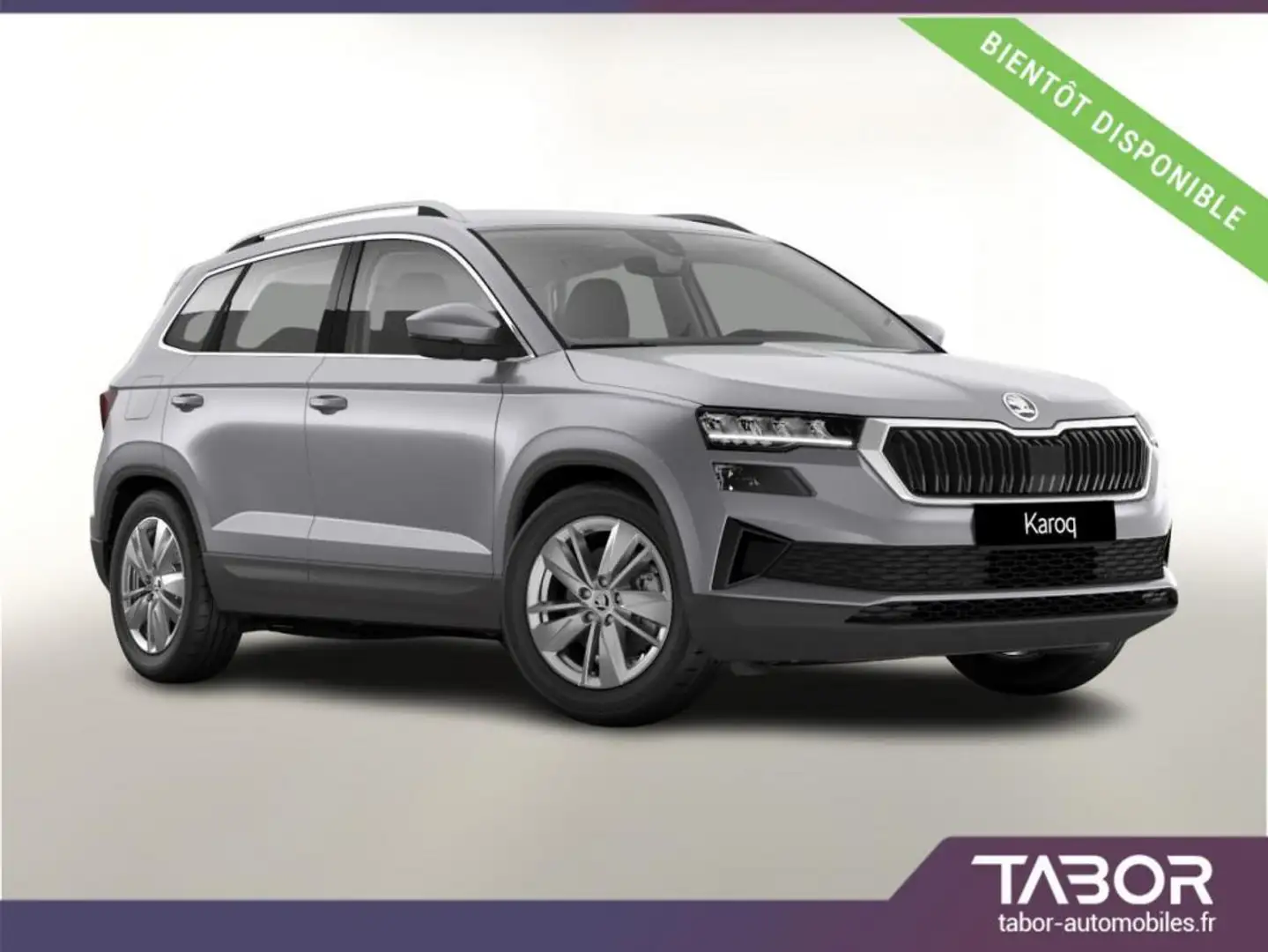 Skoda Karoq TSI 150 DSG Selection LED ACC GPS Argent - 1