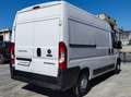 Fiat Ducato 33 MH2 2.3 MJ FURG.P.MEDIO TETTO ALTO 3 PTI-2020 Wit - thumbnail 3
