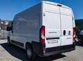 Fiat Ducato 33 MH2 2.3 MJ FURG.P.MEDIO TETTO ALTO 3 PTI-2020 Wit - thumbnail 5