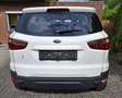 Ford EcoSport Trend - thumbnail 2