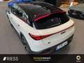 smart #3 BRABUS 2xKlima 360 AUT Kam. KlimaA LM PDC Weiß - thumbnail 6