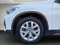 BMW X1 xDrive20d Weiß - thumbnail 17