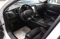 Renault Talisman Grandtour Initiale Paris~Pano~BOSE~VOLL Weiß - thumbnail 13