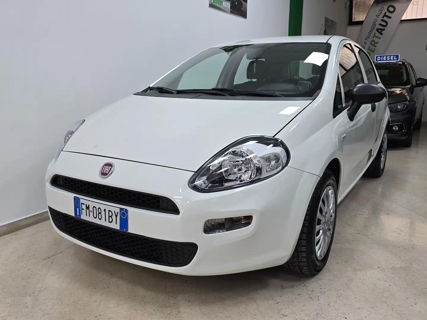 Fiat Punto 5p 1.3 mjt Lounge s Bianco - 1