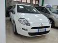 Fiat Punto 5p 1.3 mjt Lounge s Bianco - thumbnail 4