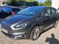 Ford S-Max S-Max 2.0 EcoBlue Aut. Vignale - thumbnail 7