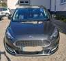 Ford S-Max S-Max 2.0 EcoBlue Aut. Vignale - thumbnail 2