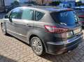Ford S-Max S-Max 2.0 EcoBlue Aut. Vignale - thumbnail 6