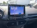 Ford EcoSport 1.0 EcoBoost ST-Line LED*NAVI*SHZ*SYNC Alb - thumbnail 11