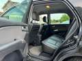 Kia Sportage Champ 4x4 Klima Motor&Getriebe TOP Zahnriemen Neu Schwarz - thumbnail 17