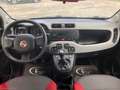 Fiat Panda 0.9 TwinAir Turbo Nat. Pow. Lounge - 2014 Червоний - thumbnail 7