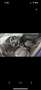 Volkswagen Golf SDI - thumbnail 11