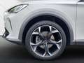 CUPRA Formentor 1.5 Basis *Navi*LED*Full-Link*Kamera* Weiß - thumbnail 11