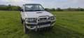 Nissan Terrano II 2.7 TD Fun - thumbnail 4