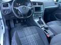 Volkswagen Golf VII Lounge BMT 1.6 TDI  Mehrzonenklima SHZ Fernlic Weiß - thumbnail 5