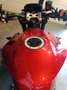 Triumph Street Triple 765 Rot - thumbnail 4